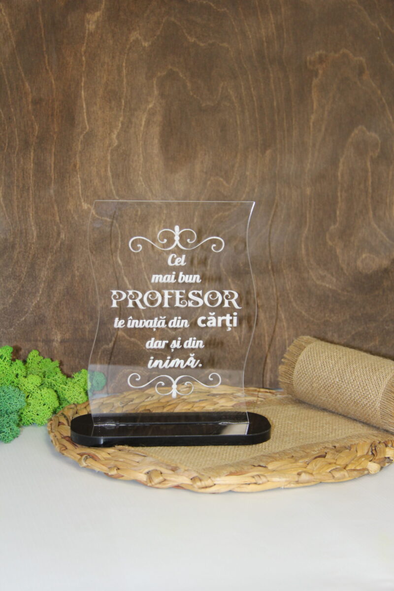 Trofeu ”Cel mai bun profesor!”