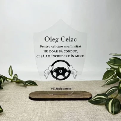 Ceas "Dinte" cu licheni