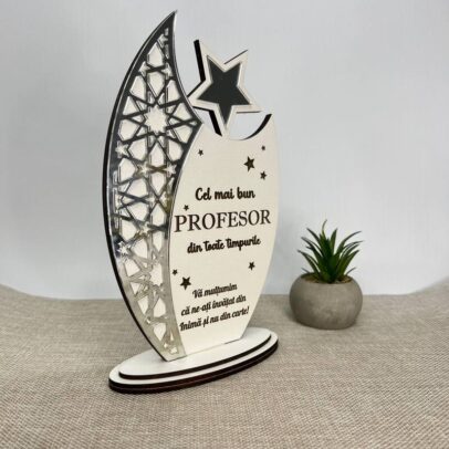 Trofeu pentru Profesor/Profesoară