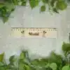 Riglă de 20 cm din Placaj