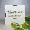 Pușculița „Visurile Mele...”