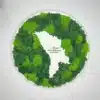 Panou cu Licheni „Harta Moldovei”