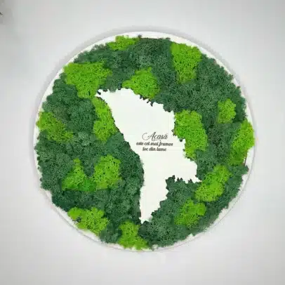 Panou cu Licheni „Harta Moldovei”