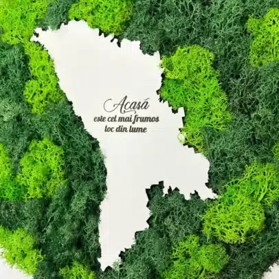 Panou cu Licheni „Harta Moldovei”