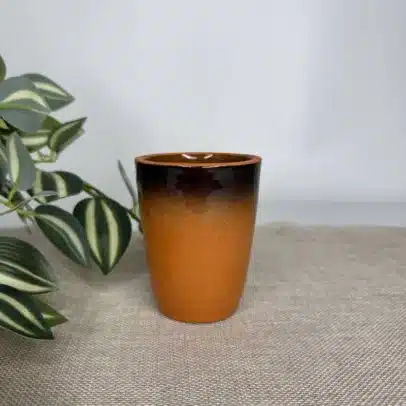 Pahar de 100 ml