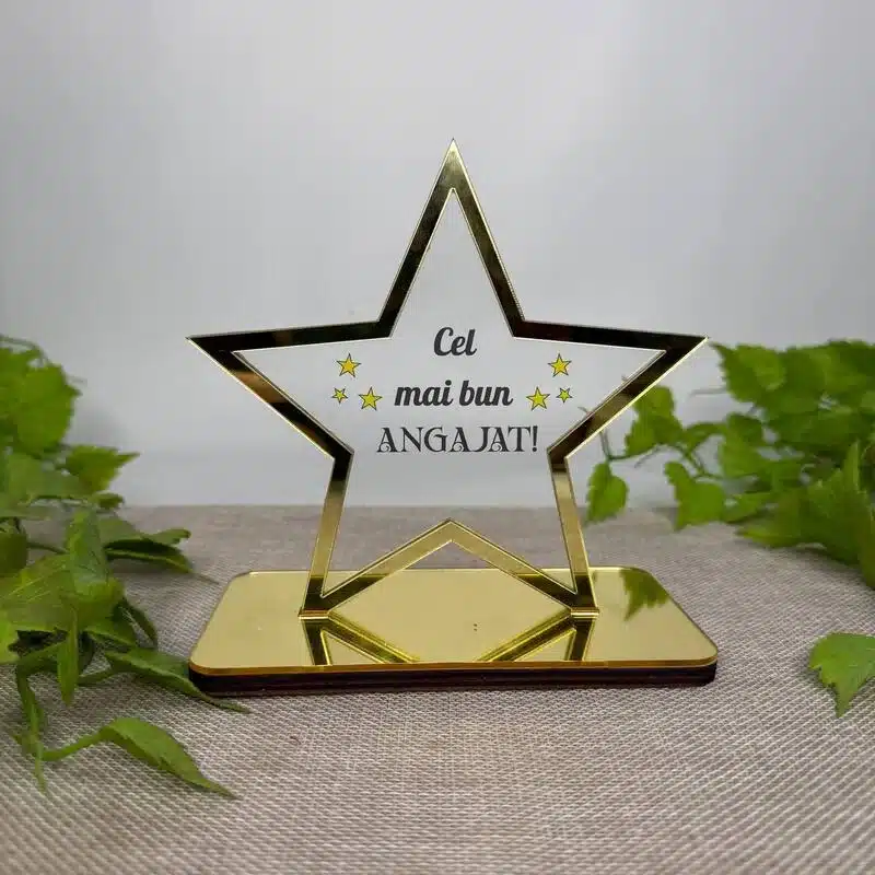 Trofeul „Cel mai bun angajat”