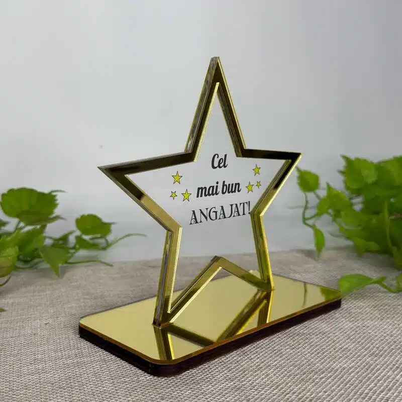 Trofeul „Cel mai bun angajat”