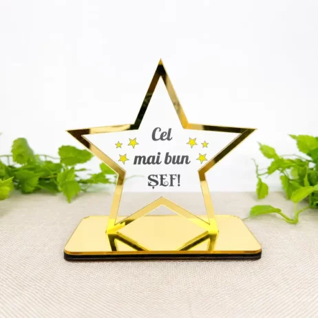 Trofeu pentru "Cel mai bun Șef"