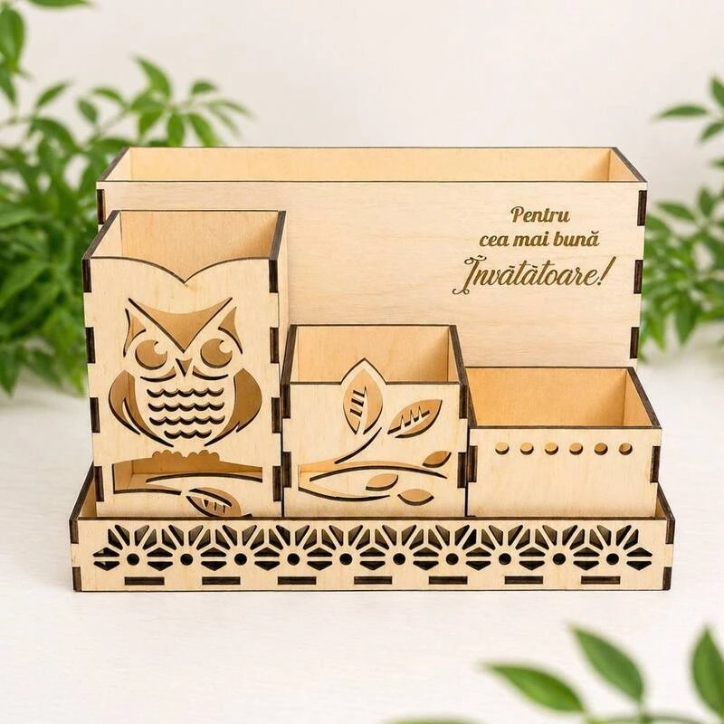 Organizator - imagine 3